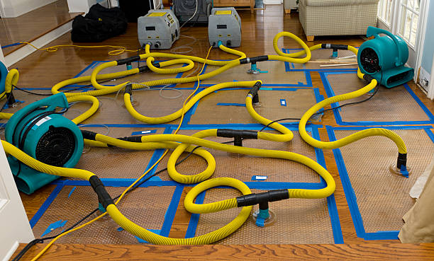 Professional Crawl Space Water Removal technician working in New Durham, NH
